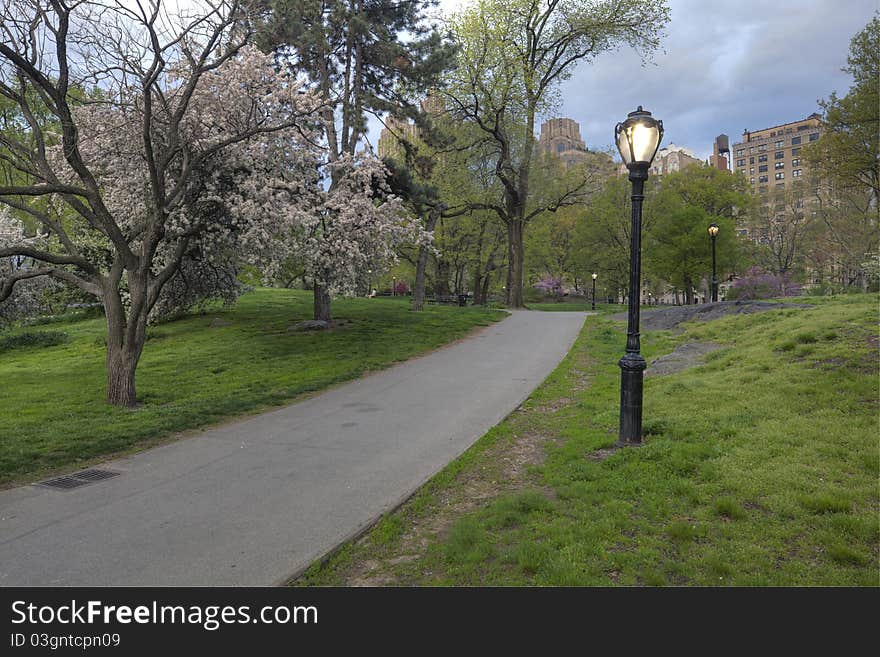 Spring in Central Park