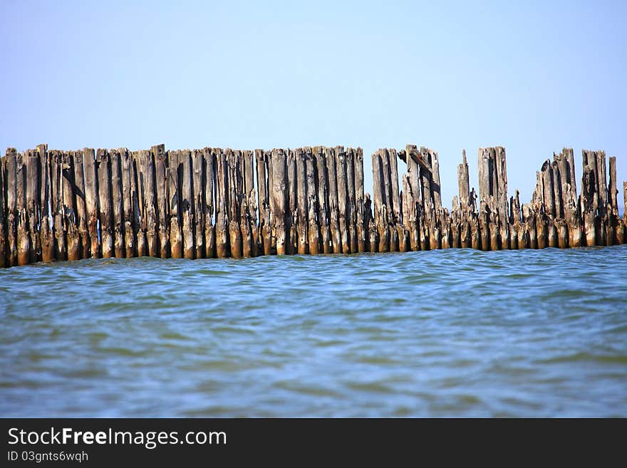 Pales of a breakwater