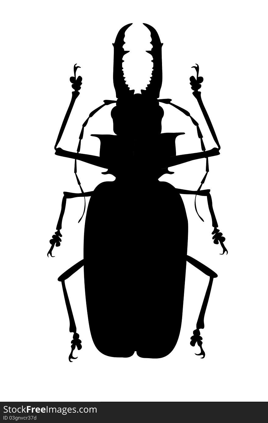 black horned beetle