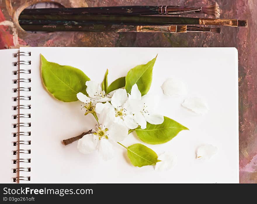 Palette of the artist and apple-tree flower. Palette of the artist and apple-tree flower