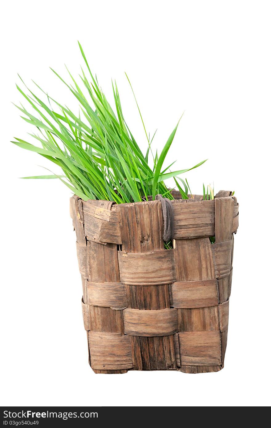 Isolated old basket with grass