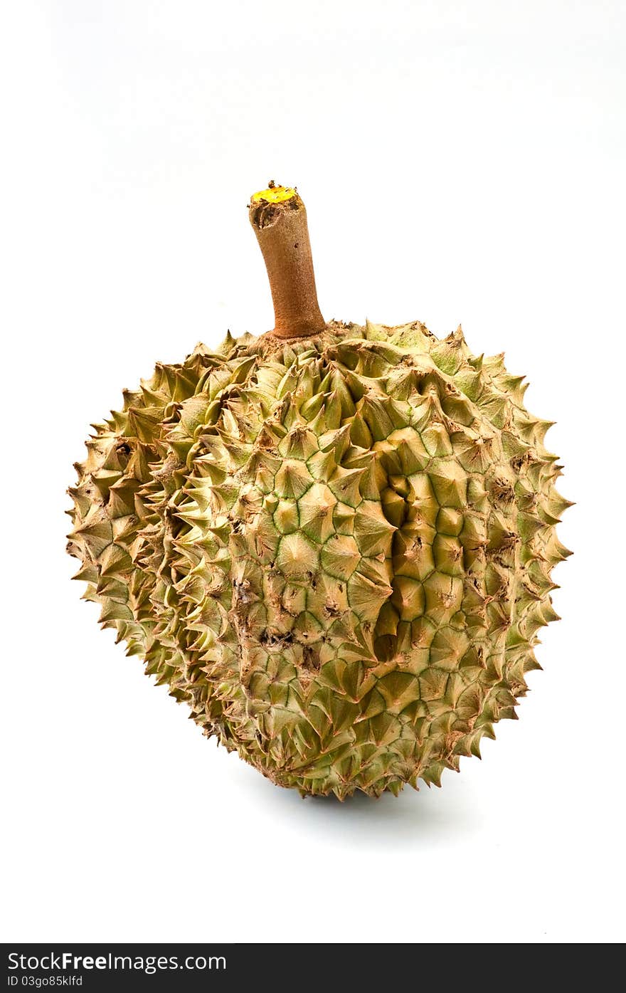 Durian