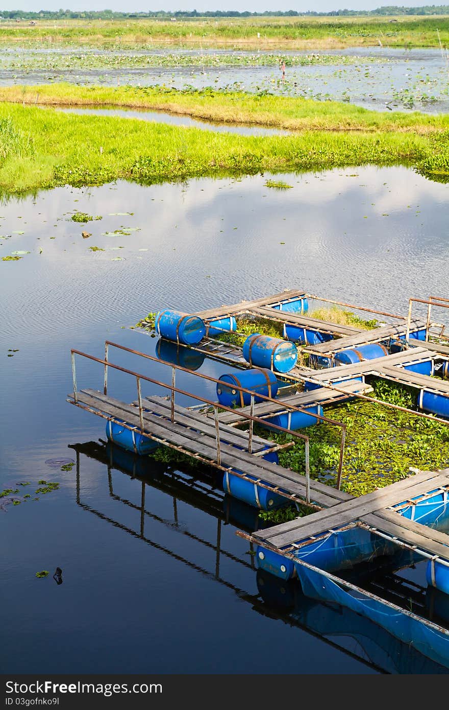 Agriculture fishery