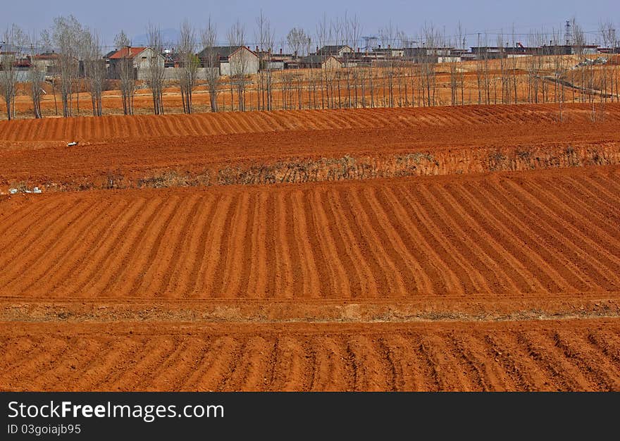 The fields began to plowing in spring. The fields began to plowing in spring.