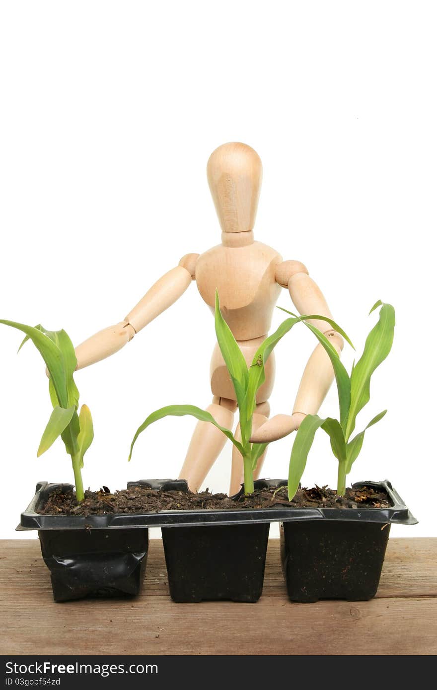 Manikin And Plants