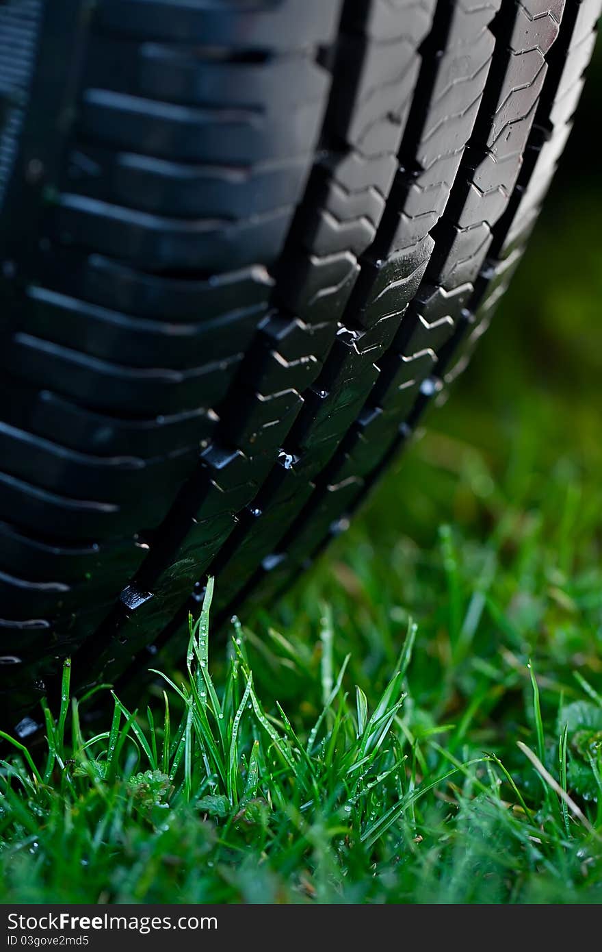 Wet wheel on the green grass with dew. Wet wheel on the green grass with dew