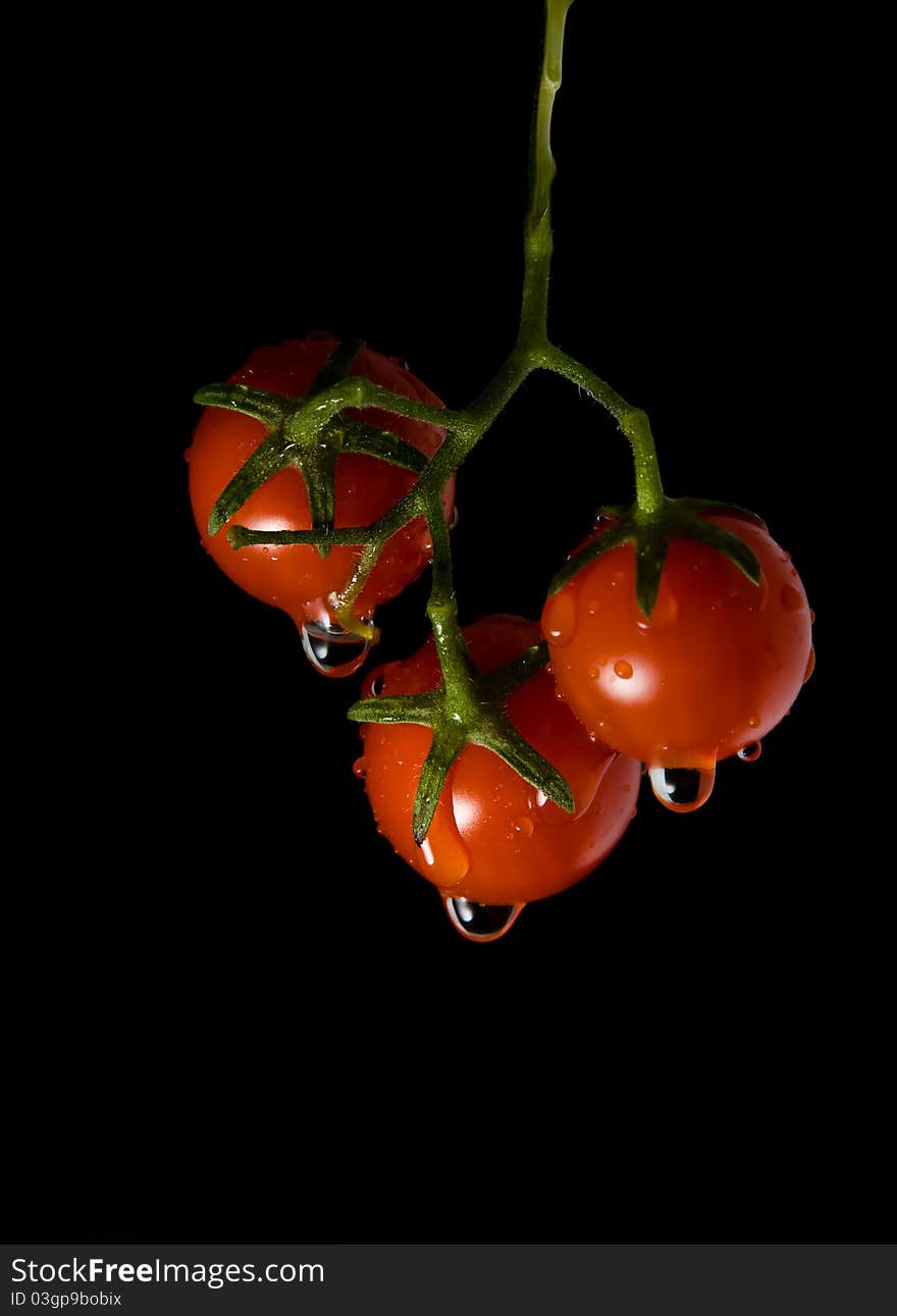 Cherry tomatoes bunch with water splashes on black background