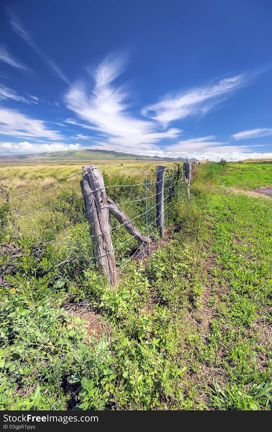 Mountain meadow, Hawaii