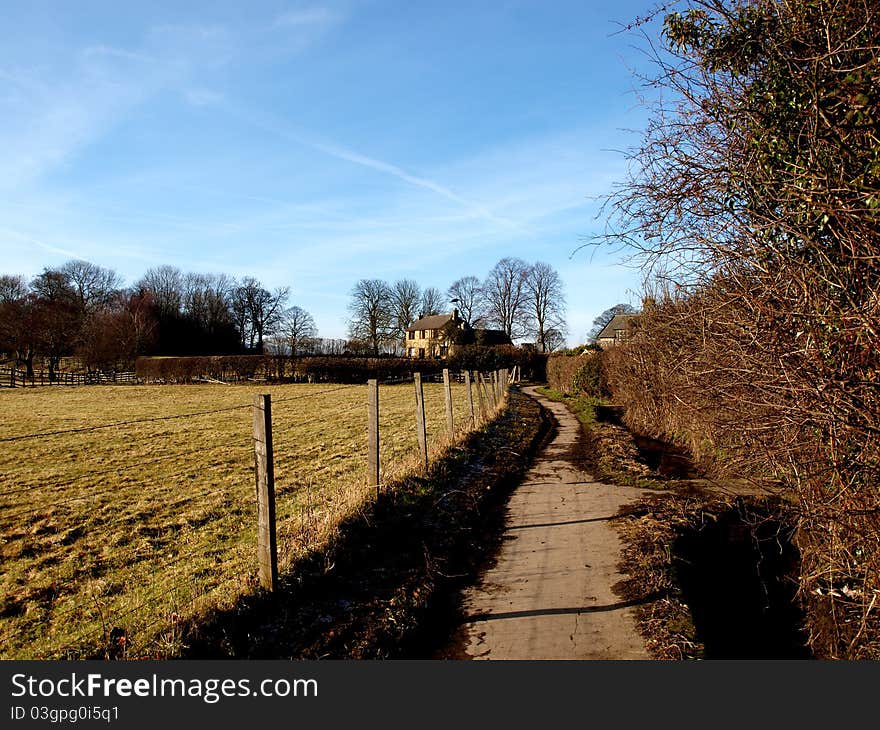 Country Lane