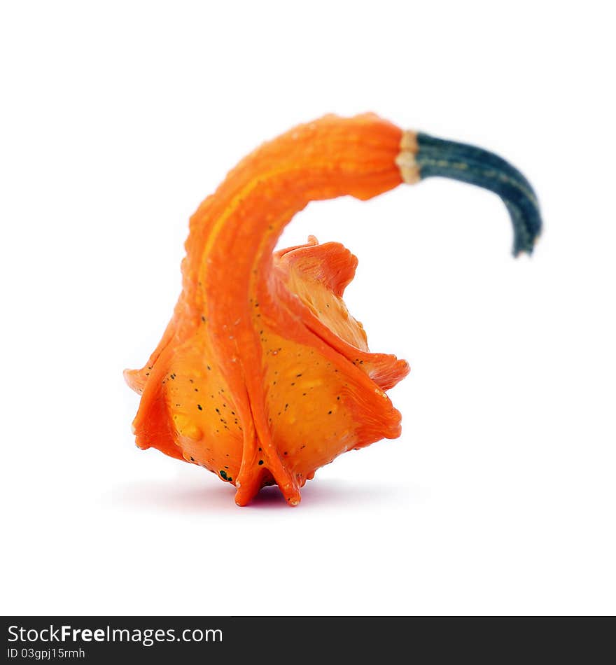 Vividly orange unusually shaped autumn squash