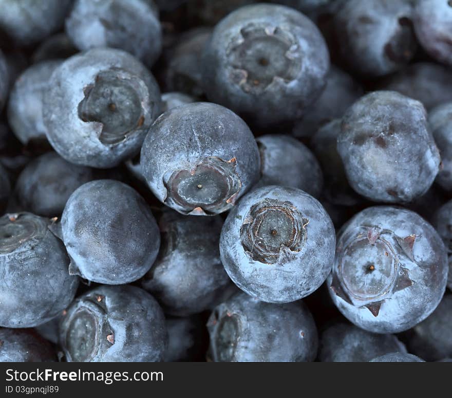 Fresh blueberries over white background