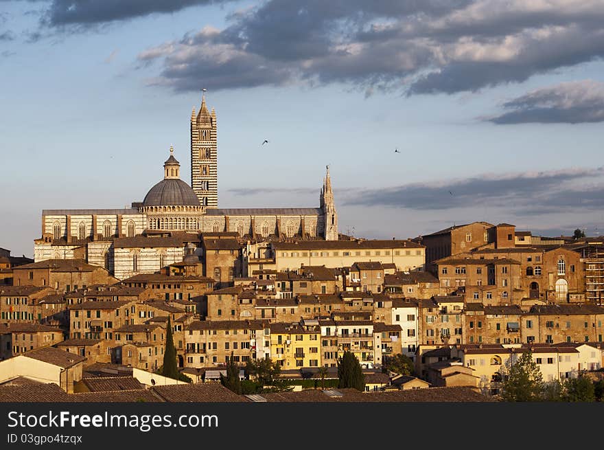 Panoramic view of Siena with the cathedral in the background