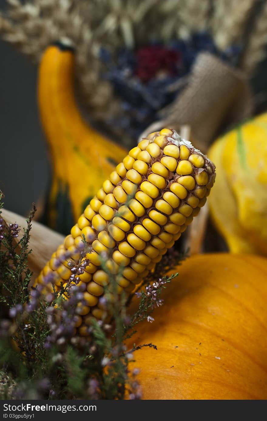 Selection of seasonal autumn fruits. Selection of seasonal autumn fruits