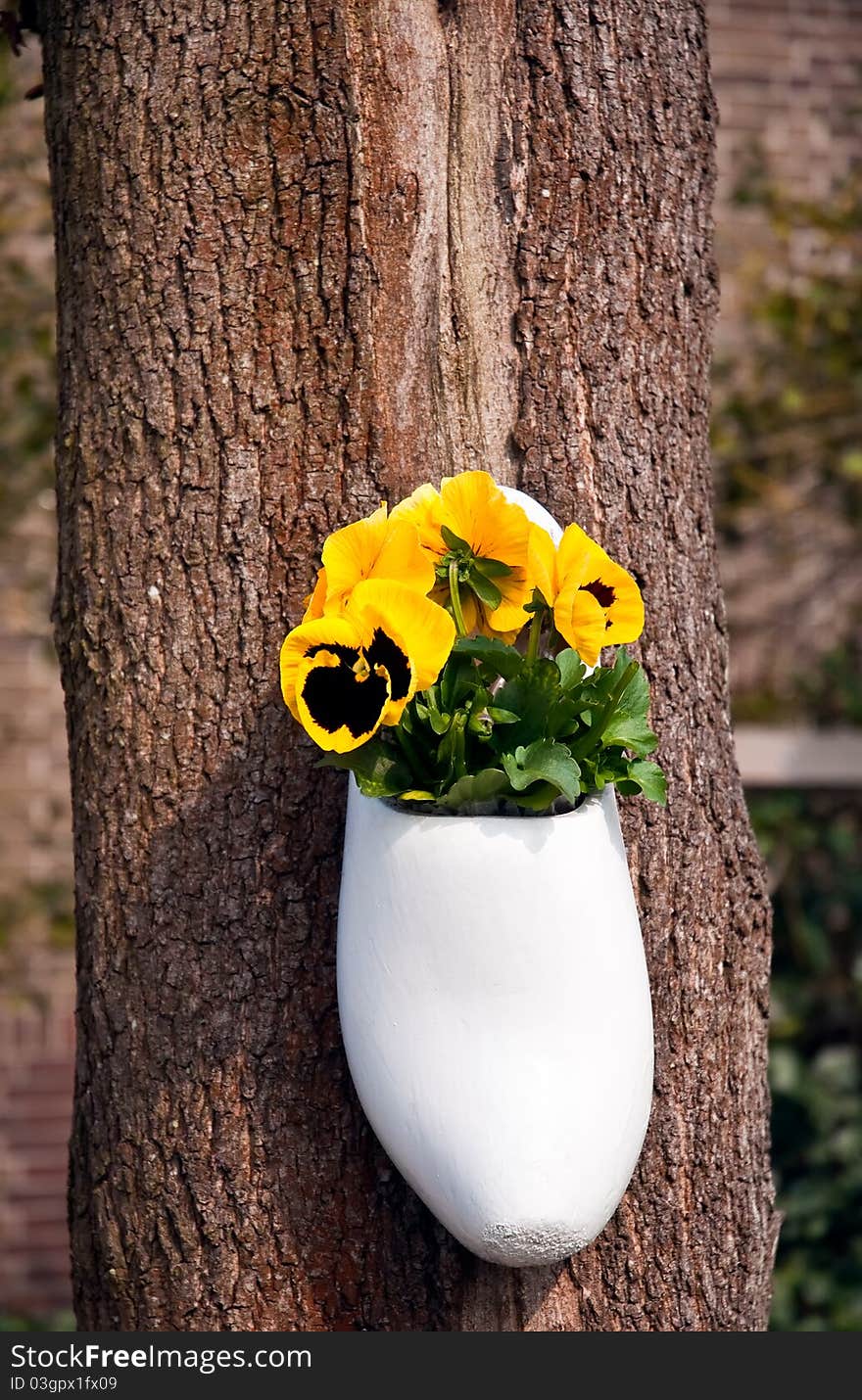 Traditional Dutch wooden clogs from growing in it with flowers, decorate the tree trunk. Traditional Dutch wooden clogs from growing in it with flowers, decorate the tree trunk.