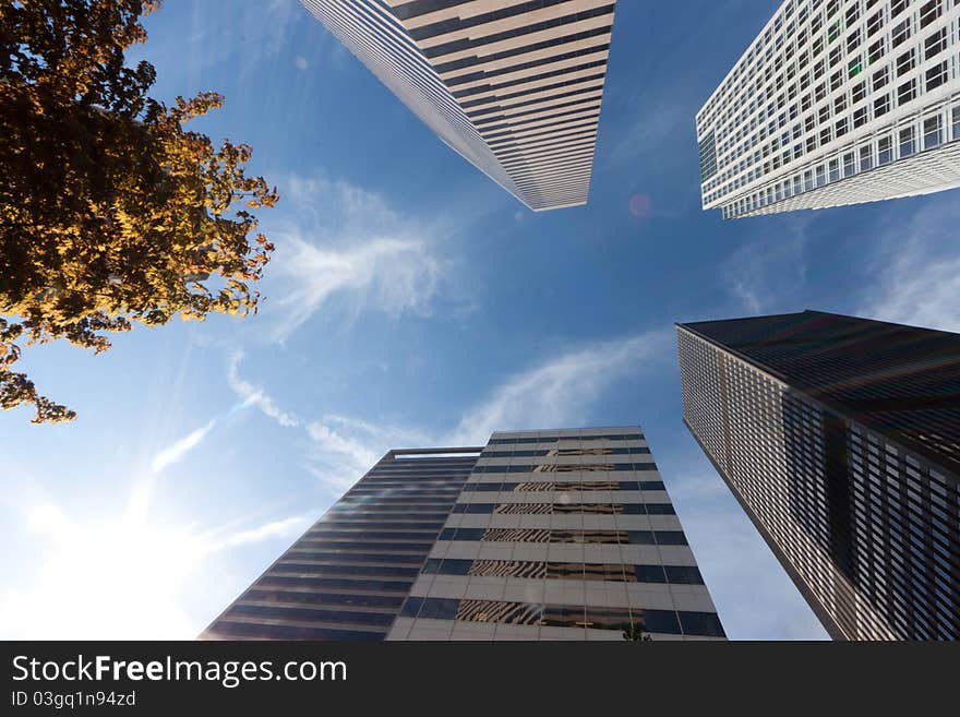 Sunlit modern office buildings