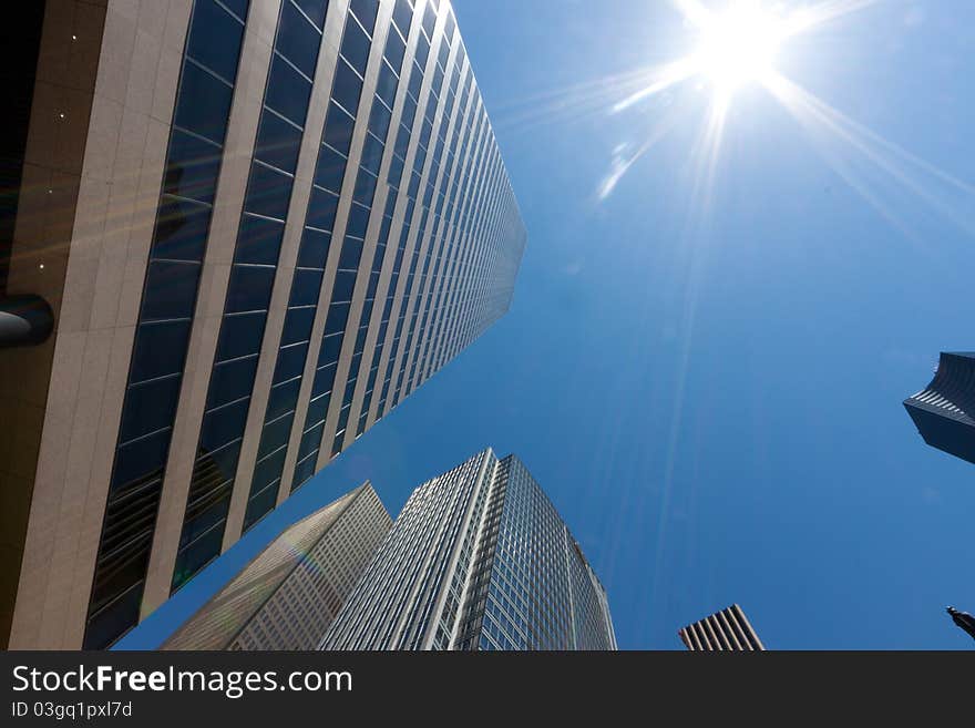 Sunlit modern office buildings