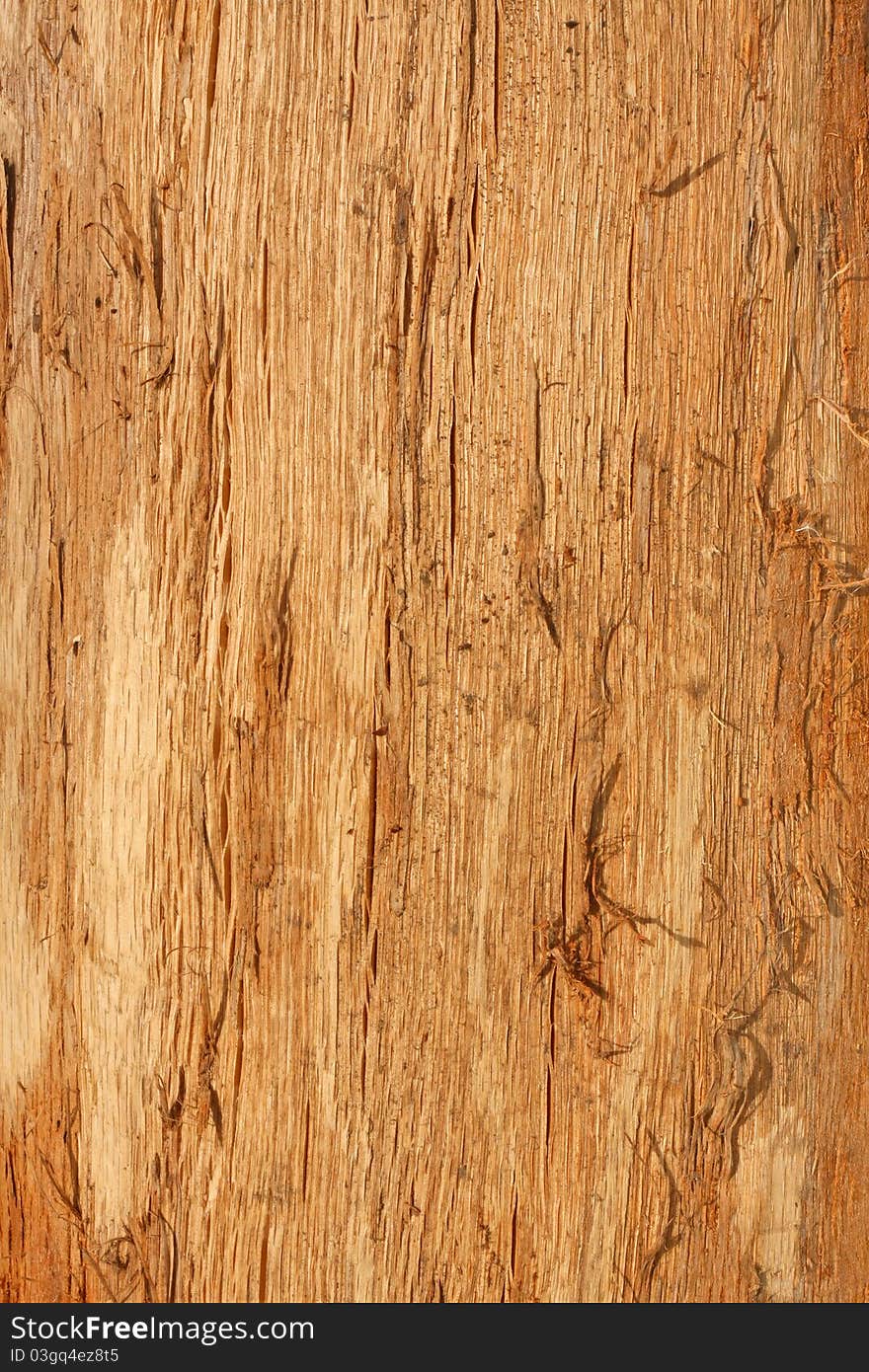 Old wooden background, stringy texture. Old wooden background, stringy texture