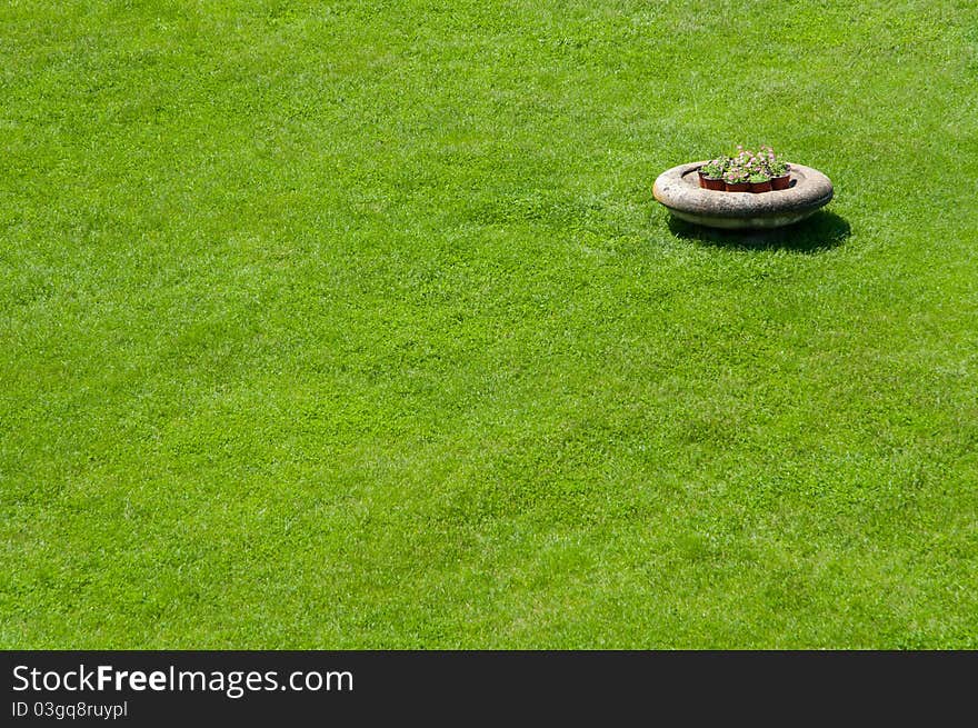 Flowerpot in the grass