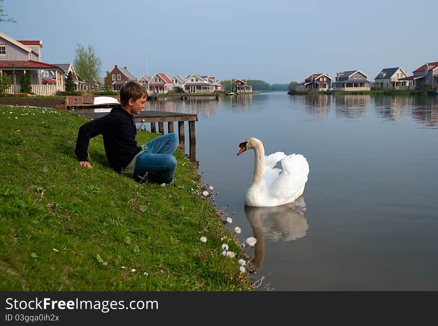 Boy and a swan. Holland .