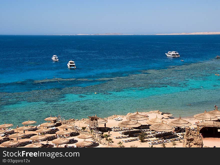 Beach on the Read Sea, Egypt.