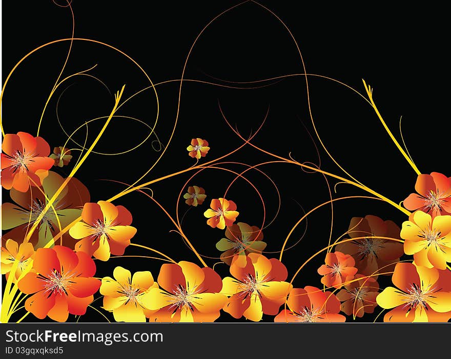 Bright flowers on a black background. Bright flowers on a black background