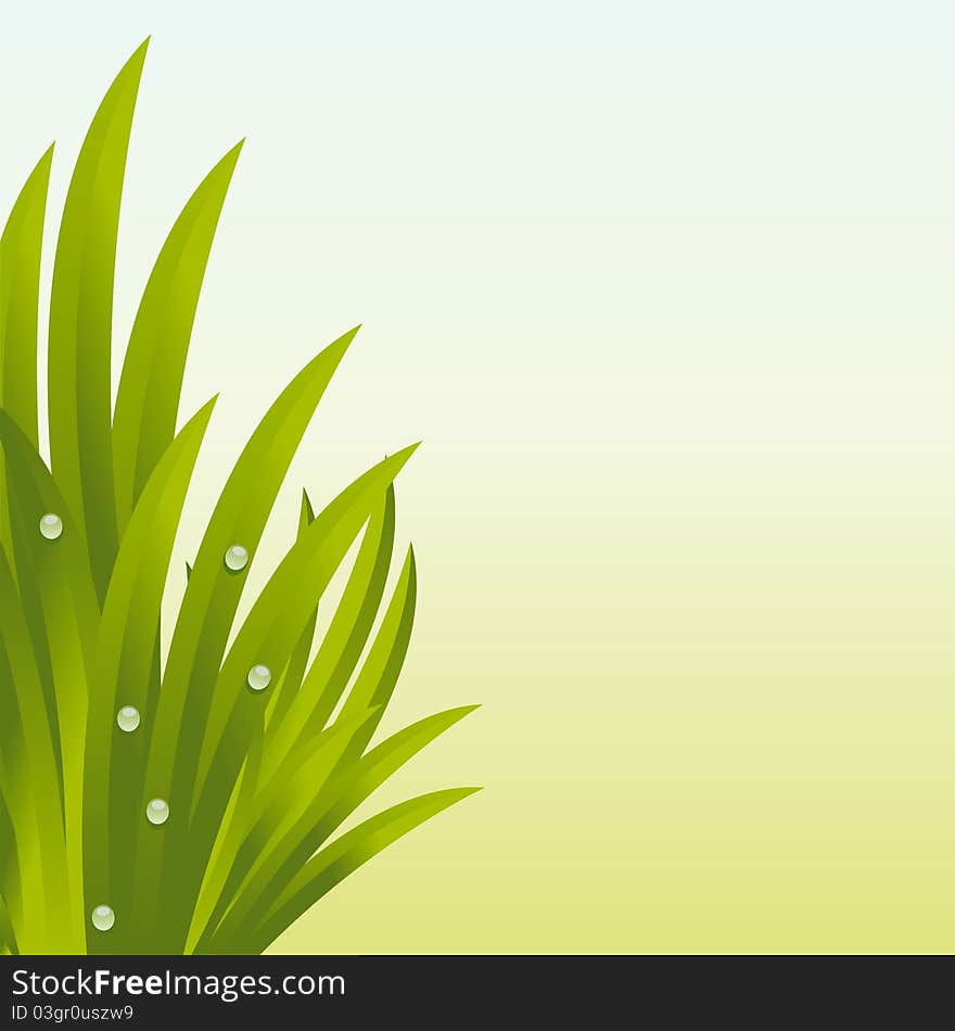 Shiny fresh grass background