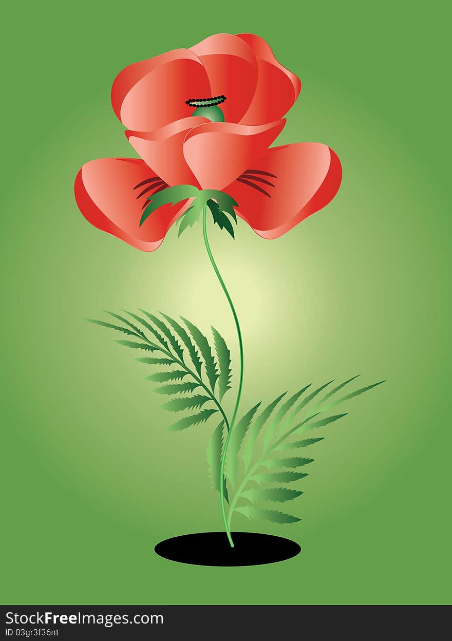 Memory day,symbol red poppy