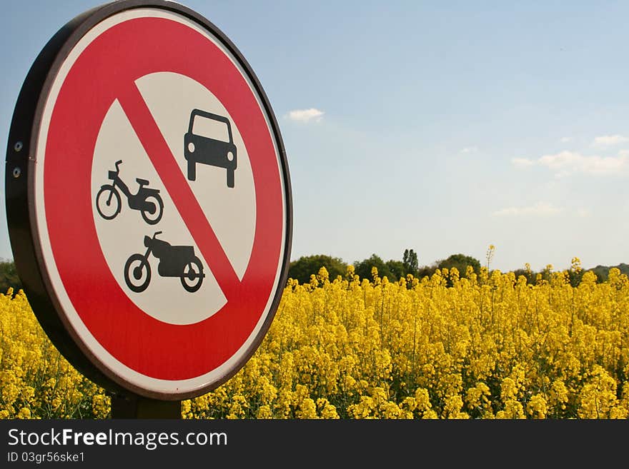 Contrast of a road sign prohibiting vehicles at the edge of a rapeseed field