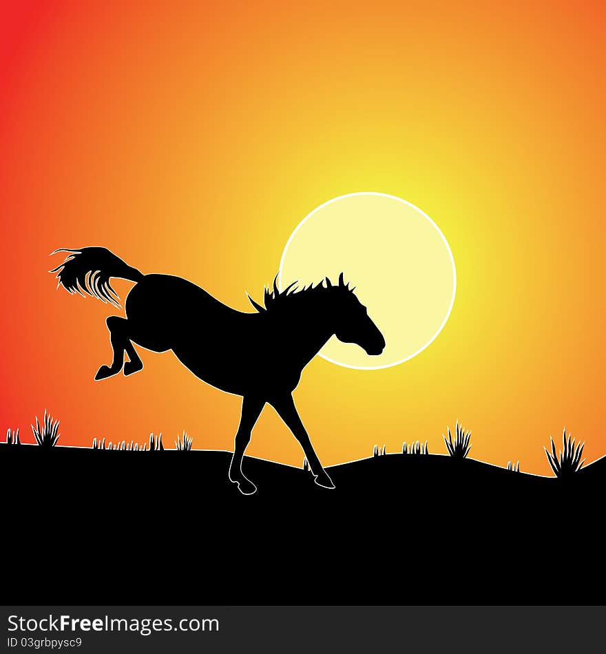 Horse against sunset. Colorful background.