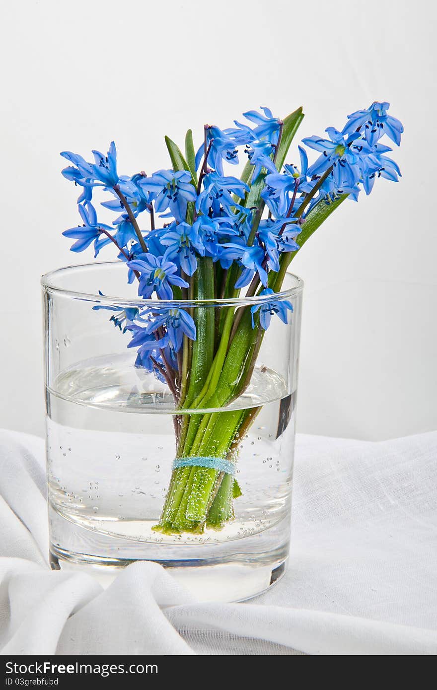 Brightly blue flowers in a glass on a white fabric. Brightly blue flowers in a glass on a white fabric