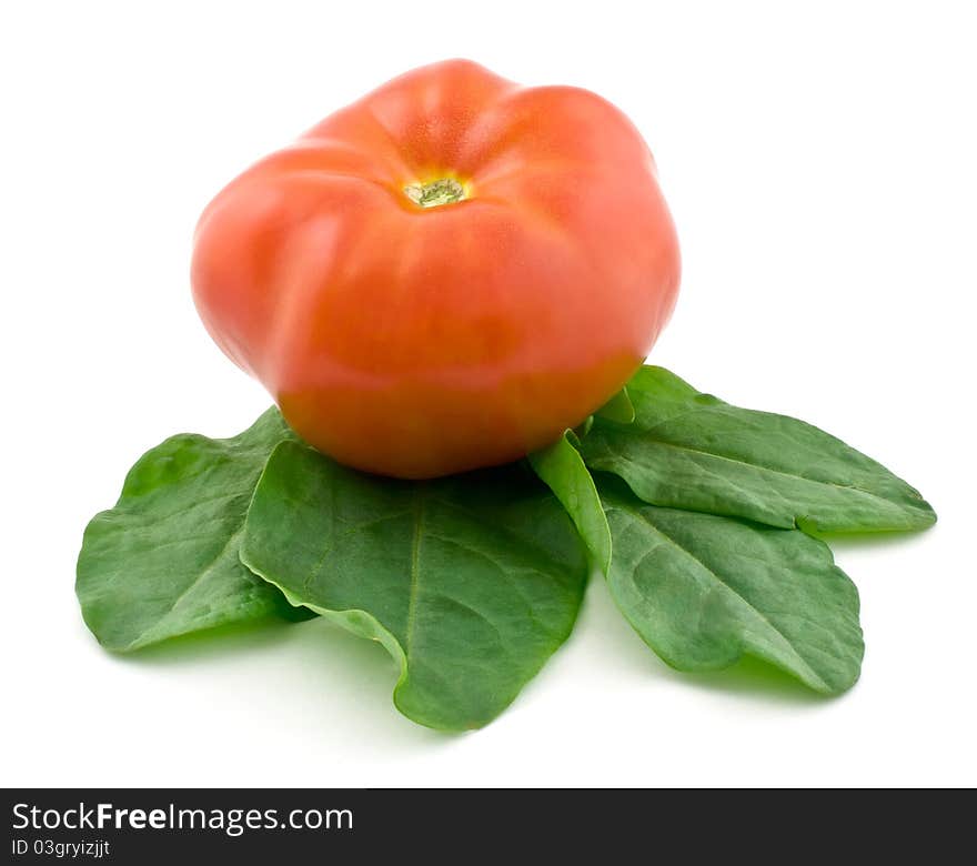 Tomato and sorrel isolated on white background