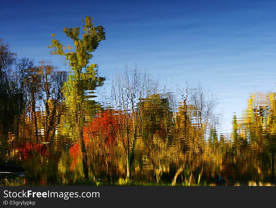 Red autumn trees reflecting in water