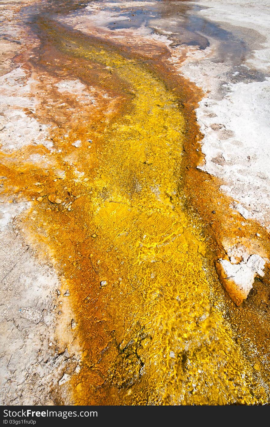 Thermal Stream at the Norris Geyser Basin, Yellowstone National Park. Thermal Stream at the Norris Geyser Basin, Yellowstone National Park