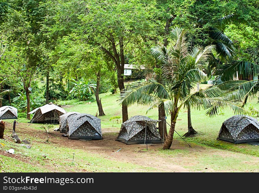 A camp in the jungle