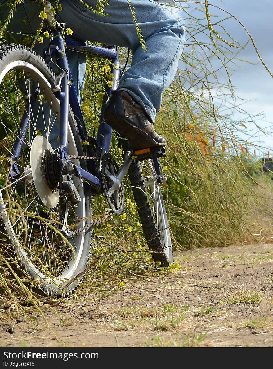 Biking on the Trail