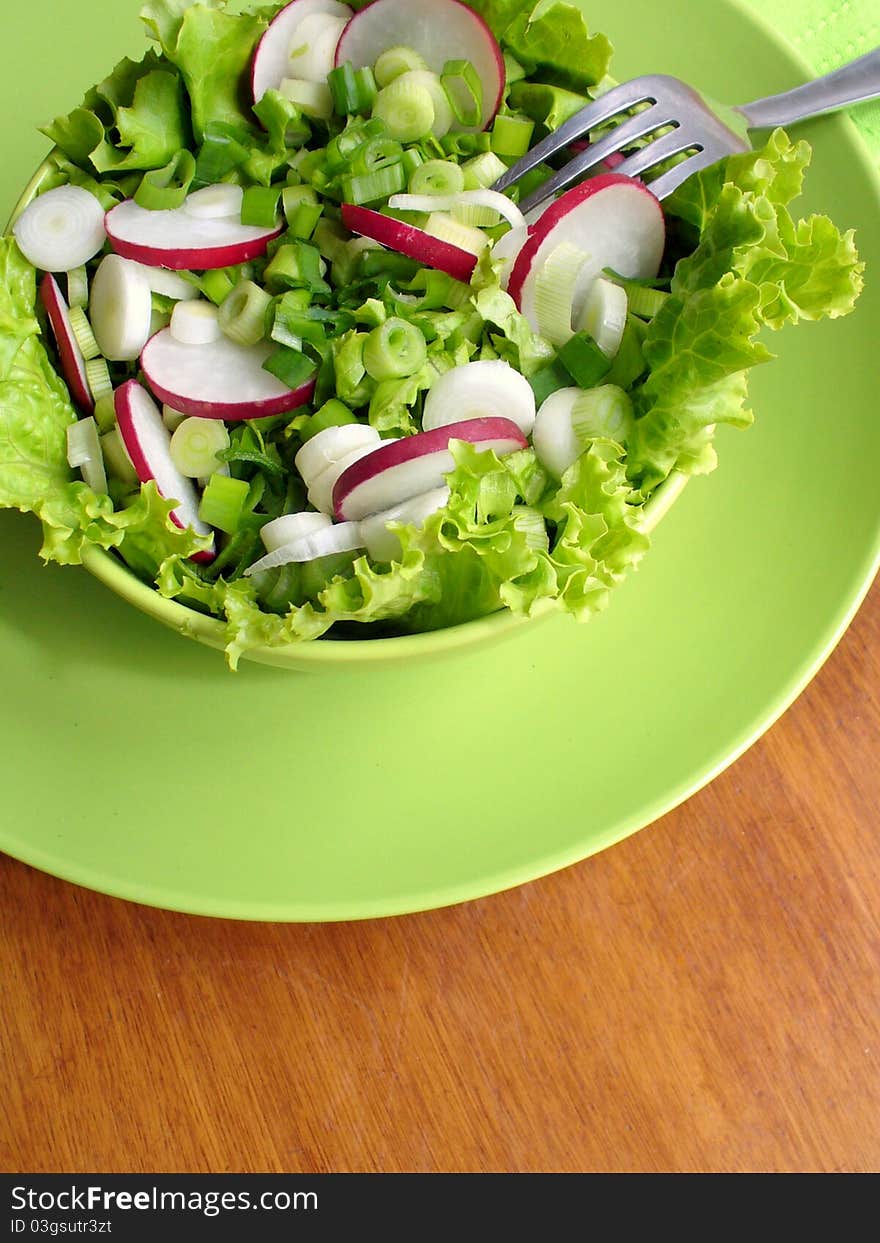 Fresh salad with radishes, lettuce and onion