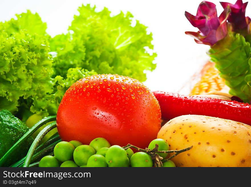 Vegetables - cabbage, tomato, cucumber, onion, lettuce and so on, on white background