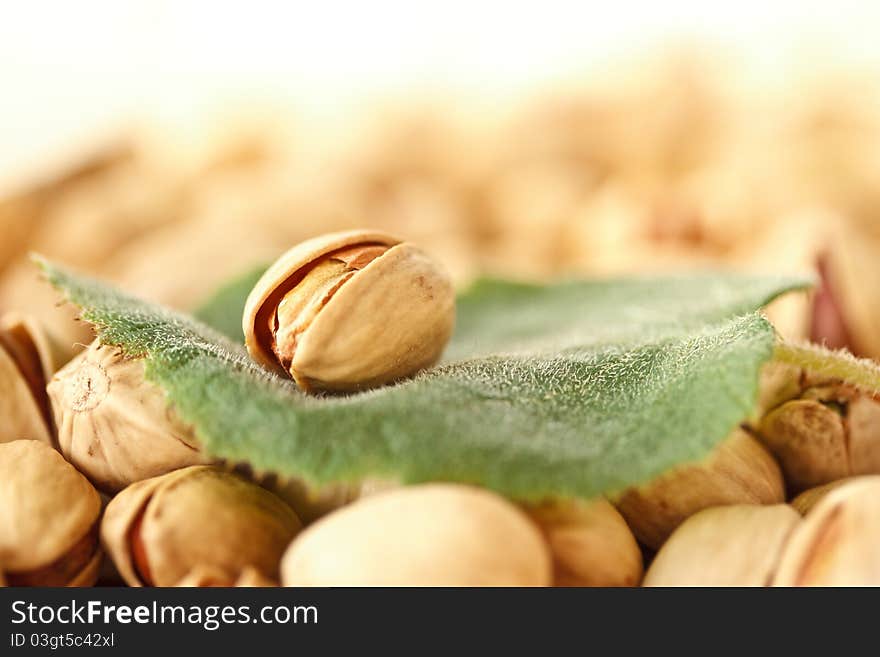 A large quantity of raw pistachios