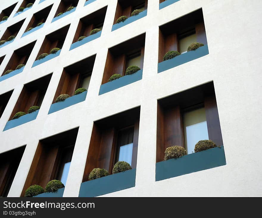 Modern facade detail with wooden blinds and green vegetation