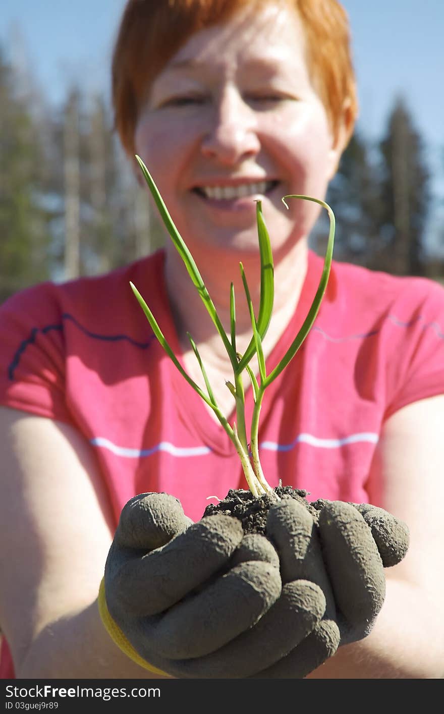 Smiling mature woman holding seedling on her hands. Smiling mature woman holding seedling on her hands