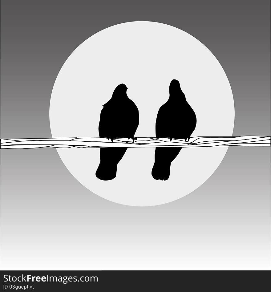 Birds on the wire