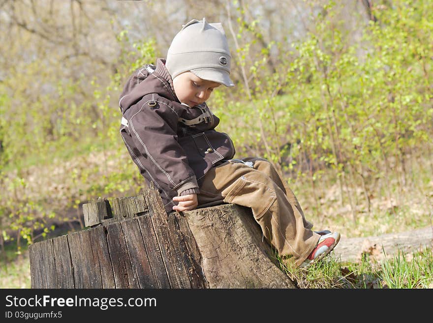 The little boy in a jacket and velveteen trousers sits on a stub of the cut down tree