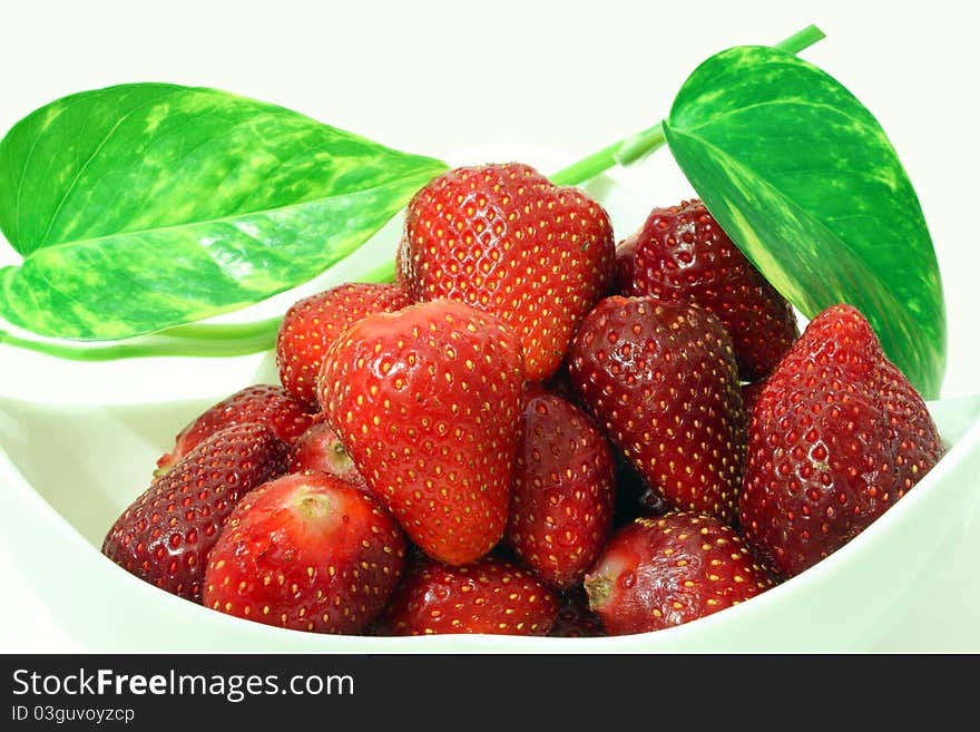 Strawberries in a china plate with a green plant on a white background. Strawberries in a china plate with a green plant on a white background