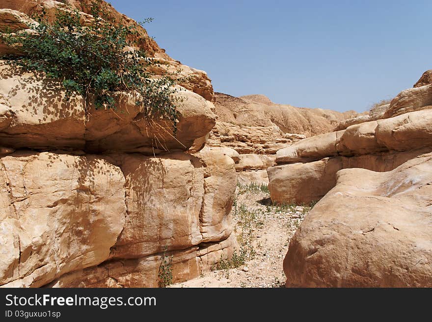 Narrow canyon of low orange rocks in desert. Narrow canyon of low orange rocks in desert