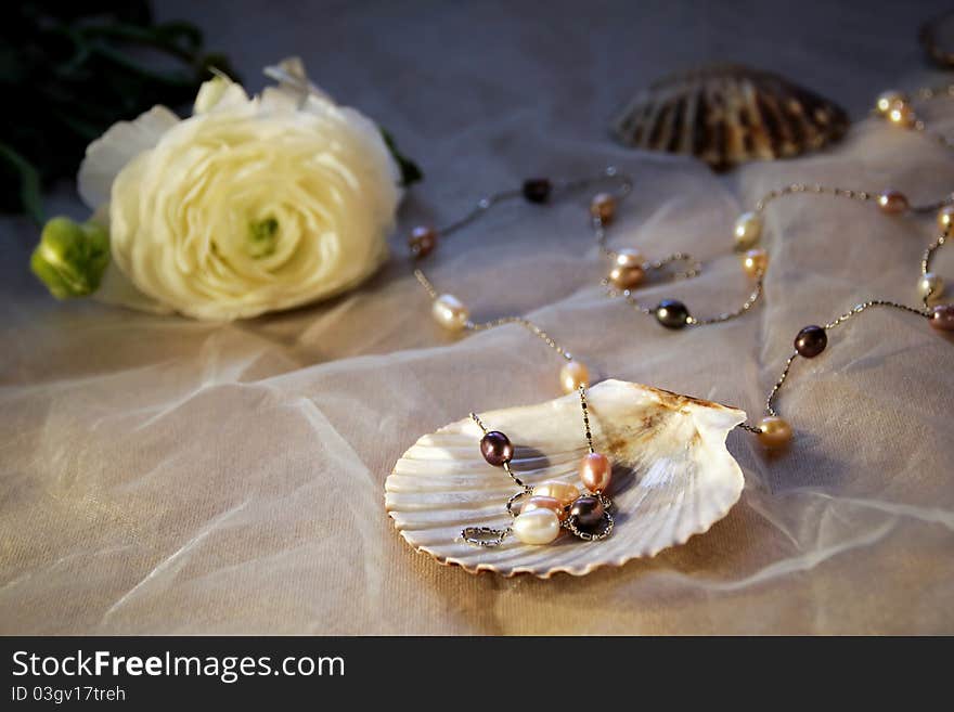 Pearls in the cockle-shell with flower