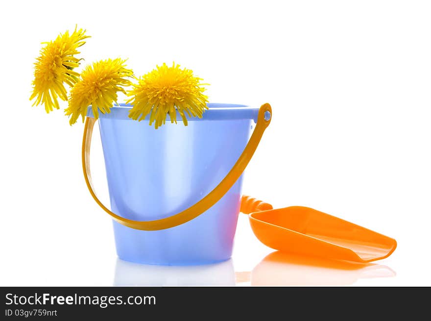 Dandelions in a children s bucket