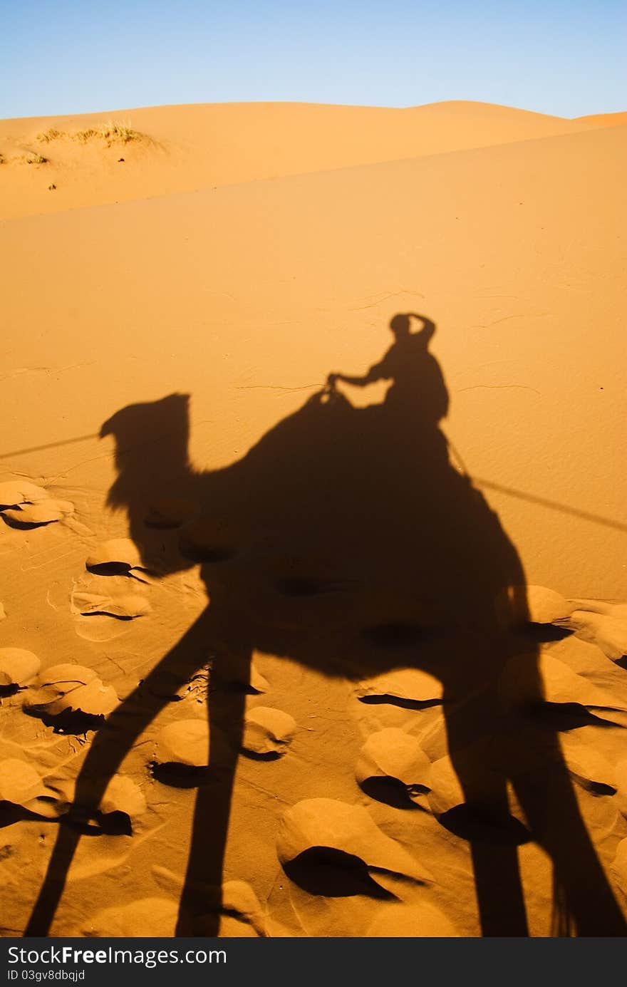 Camel shadow on the Sahara desert