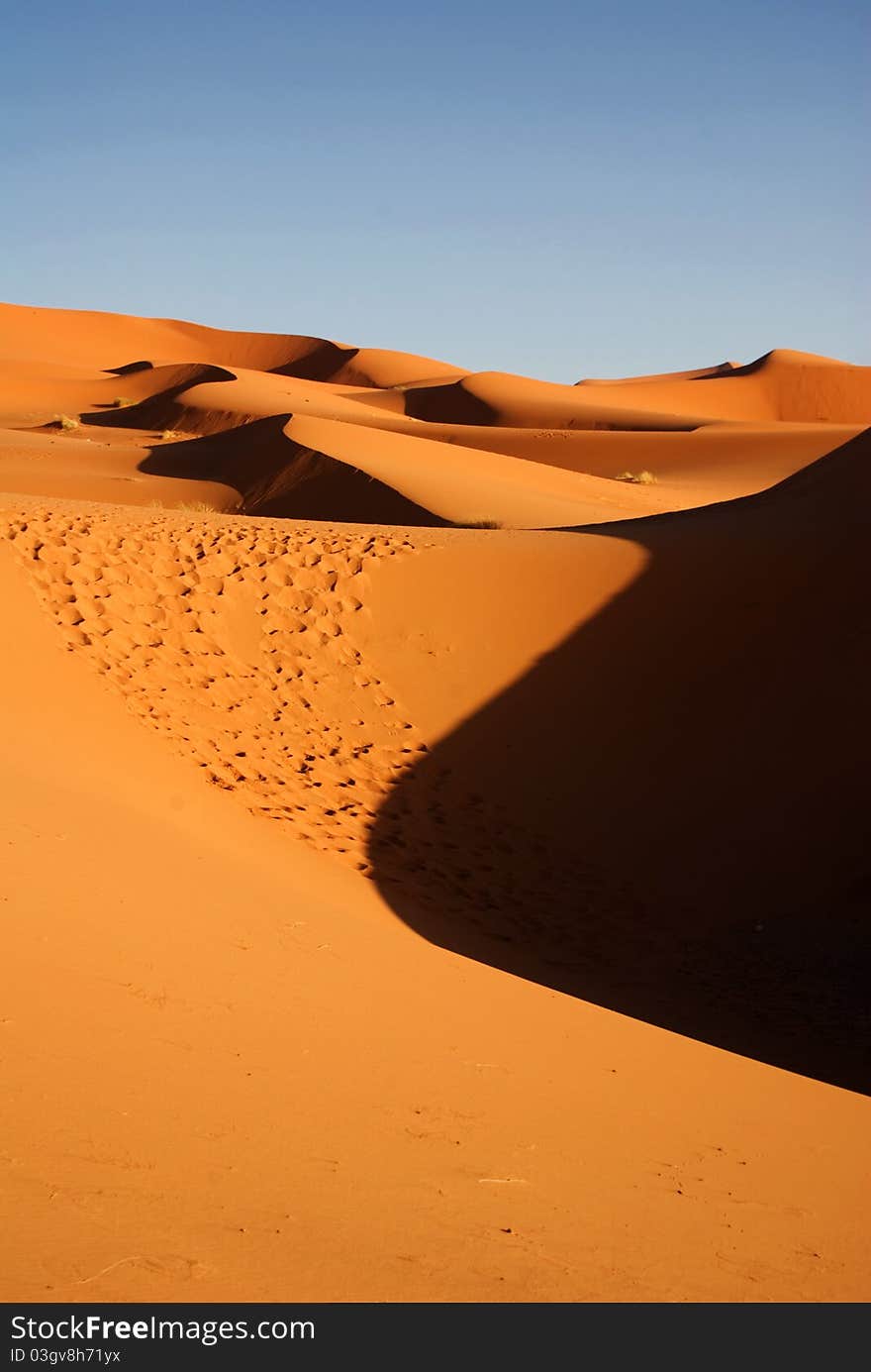 Dunes Of Desert