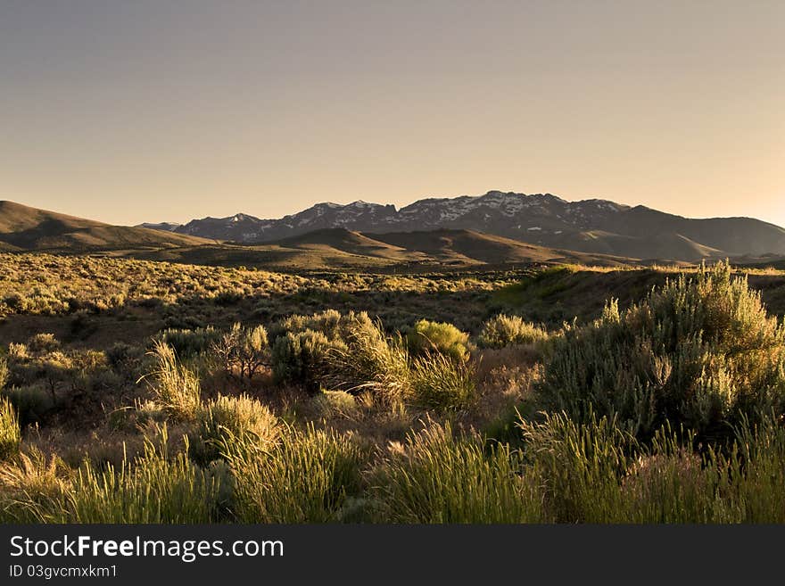 North nevada