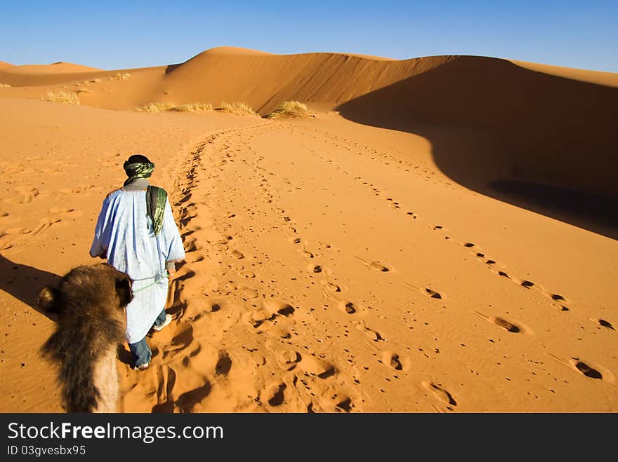 Dunes of desert